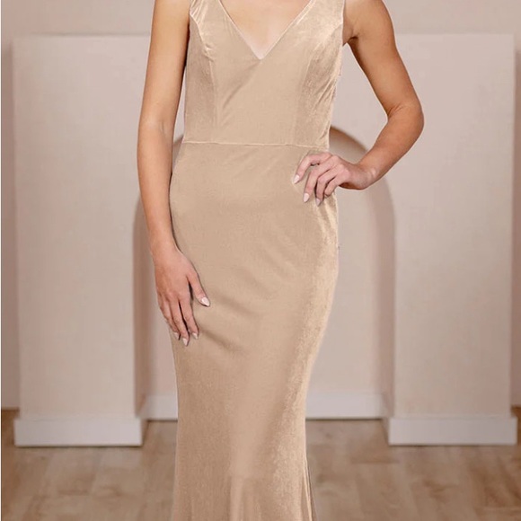 Champagne Velvet Dakota Dress Revelry - Picture 2 of 2